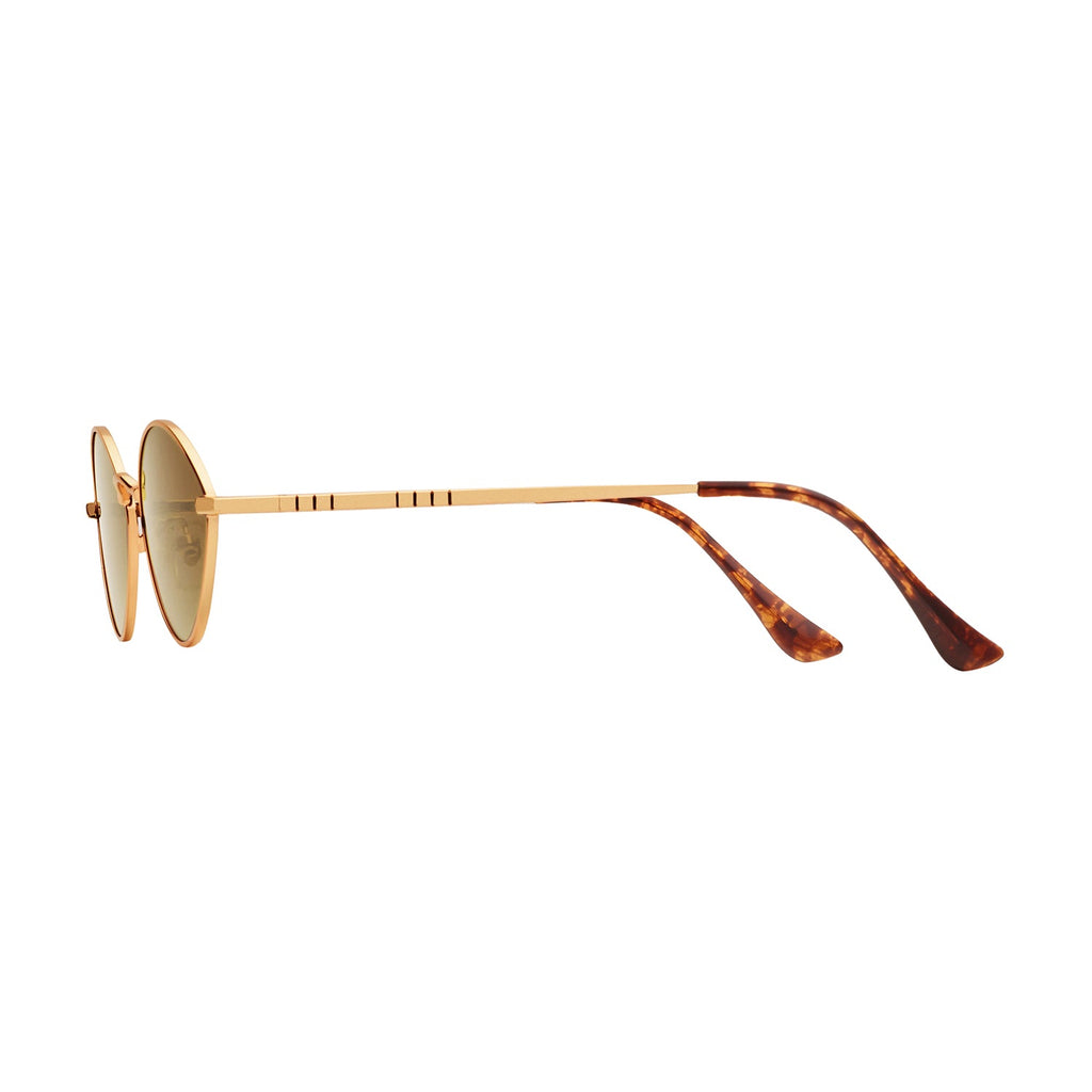 Brown Lens Gold Frame