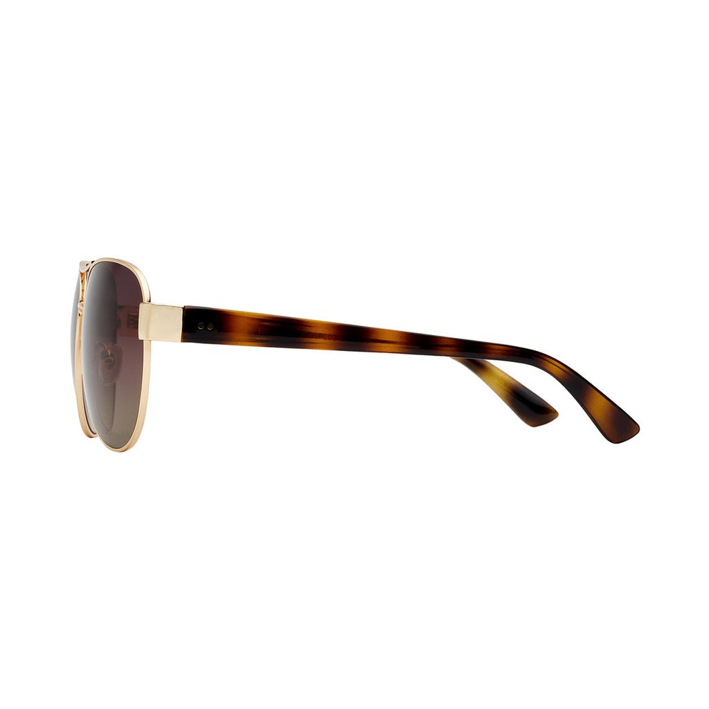 Gradient Brown Lens Tortoiseshell Frame