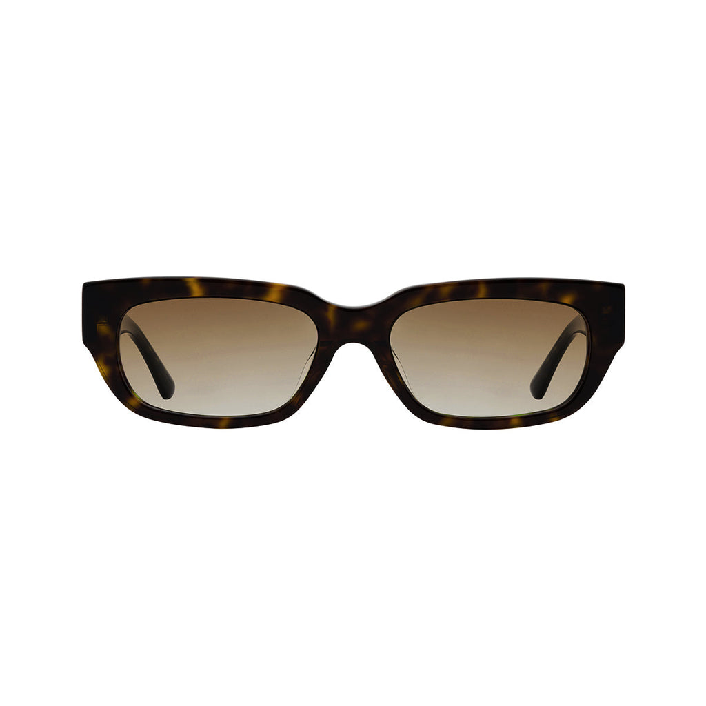 Gradient Brown Lens Tortoiseshell Frame