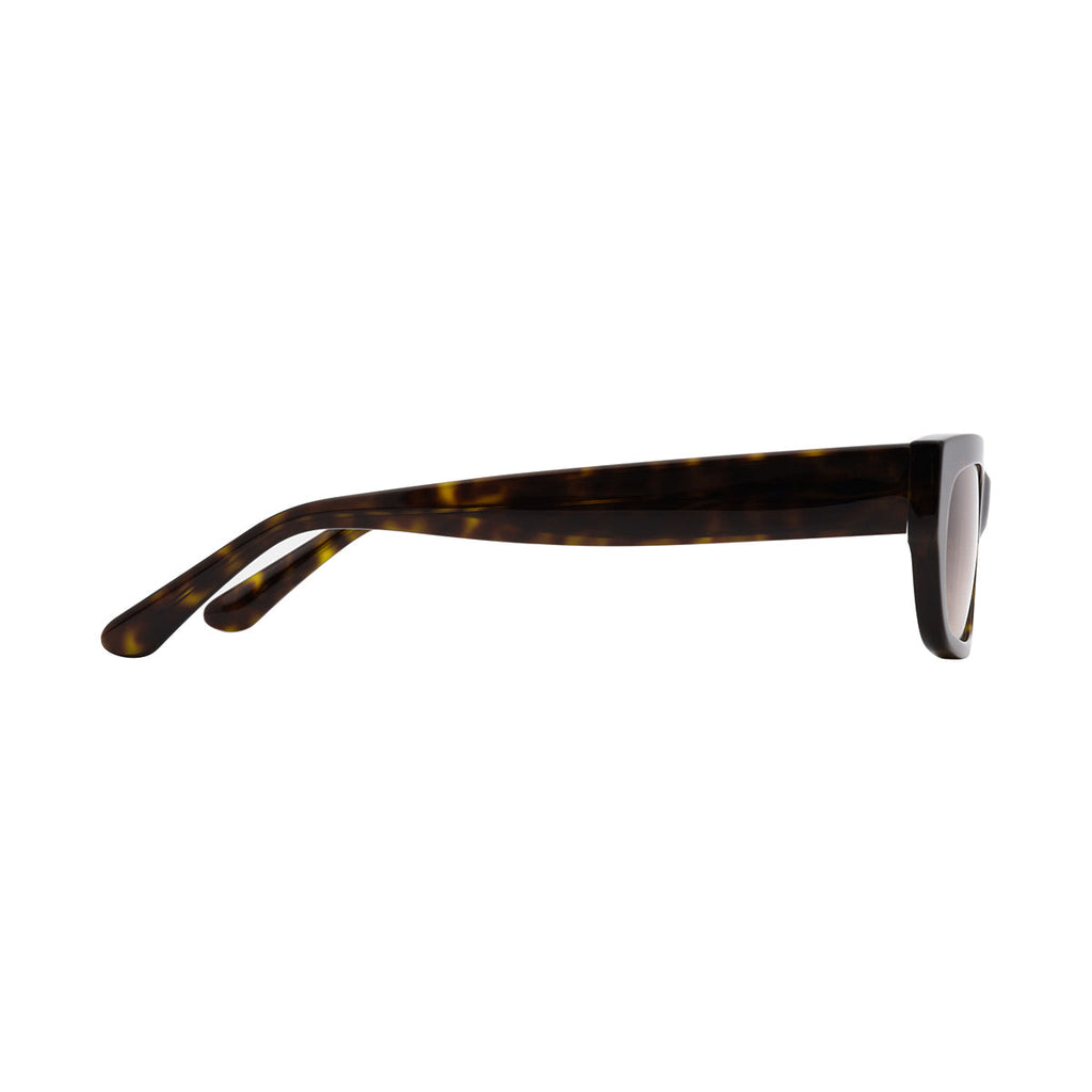 Gradient Brown Lens Tortoiseshell Frame