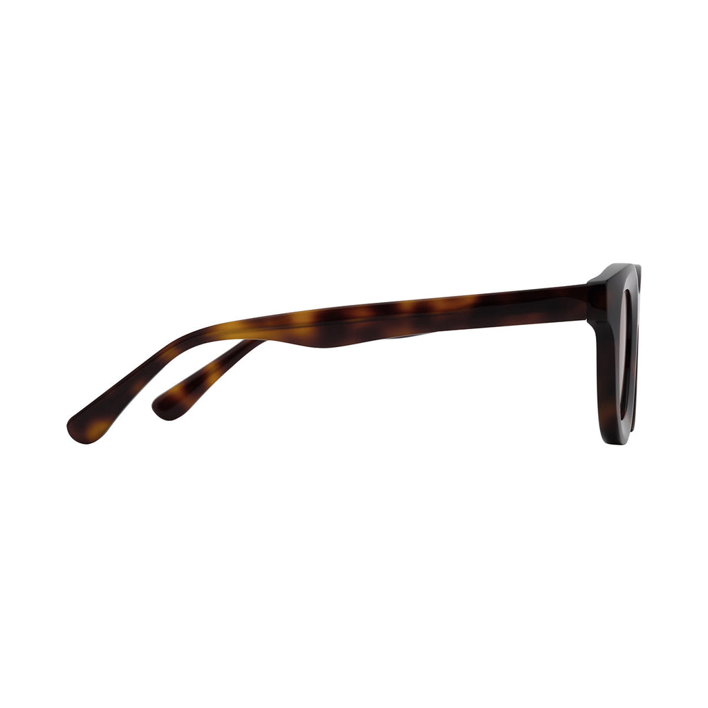 Brown Lens Tortoiseshell Frame