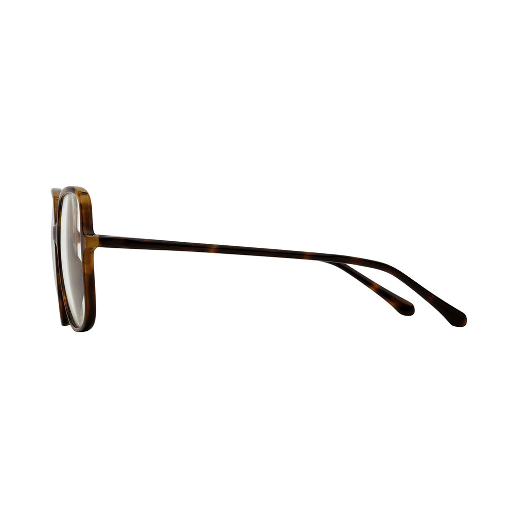 Transparent Lens Tortoiseshell Frame