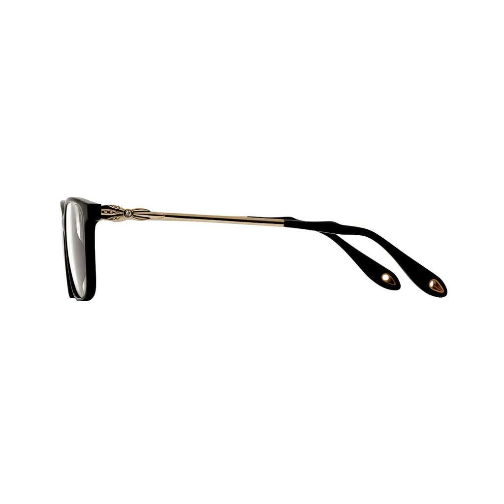 Transparent Lens Black Frame