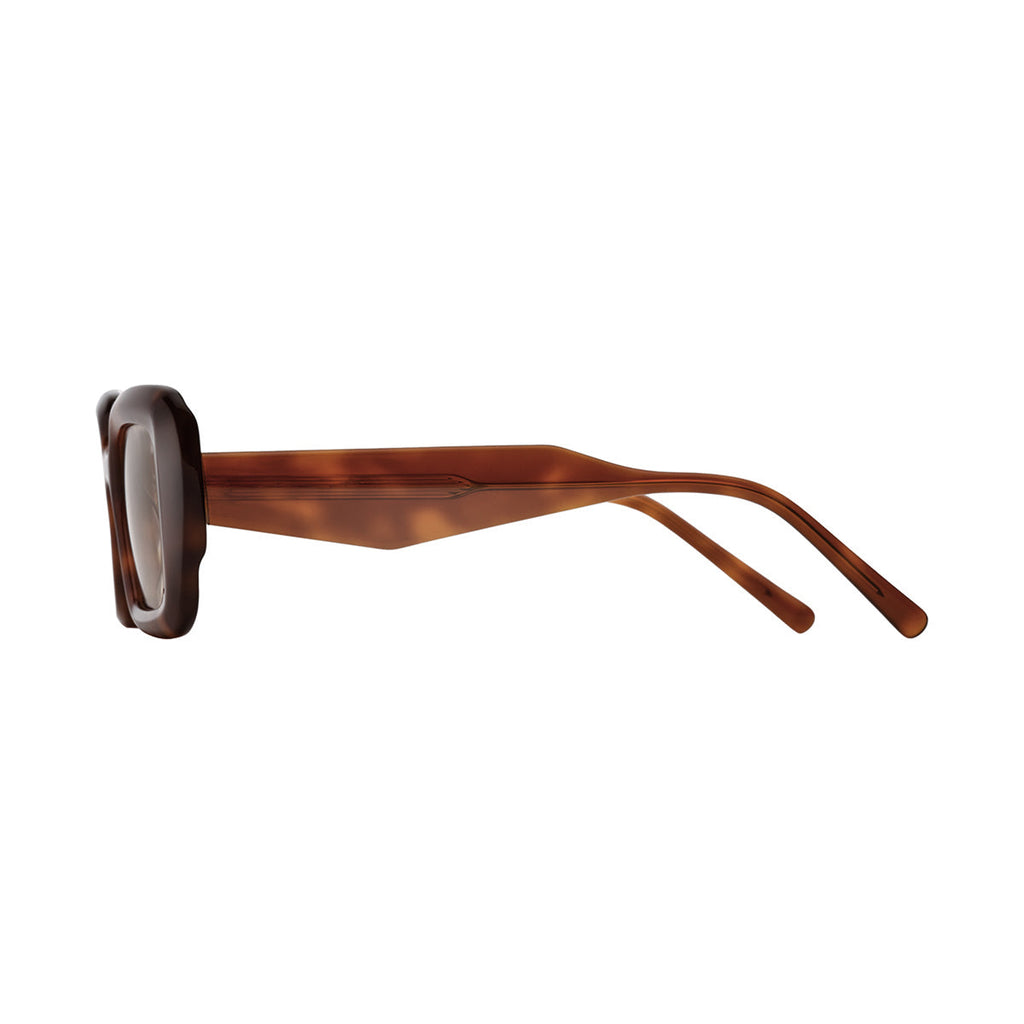 Light Brown Lens Tortoiseshell Frame