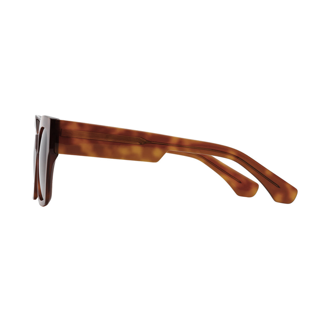 Gradient Brown Lens Tortoiseshell Frame